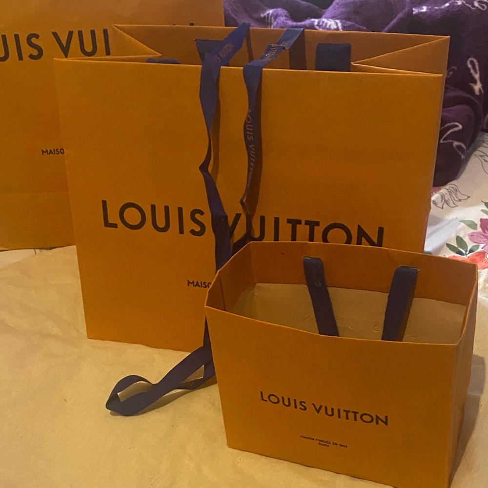 Louis Vuitton shopping bags (3)